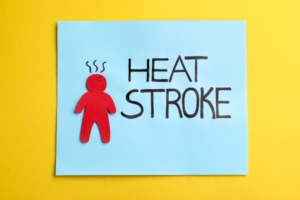 Dangers of Heat Stroke - Symptoms and Prevention Guidance