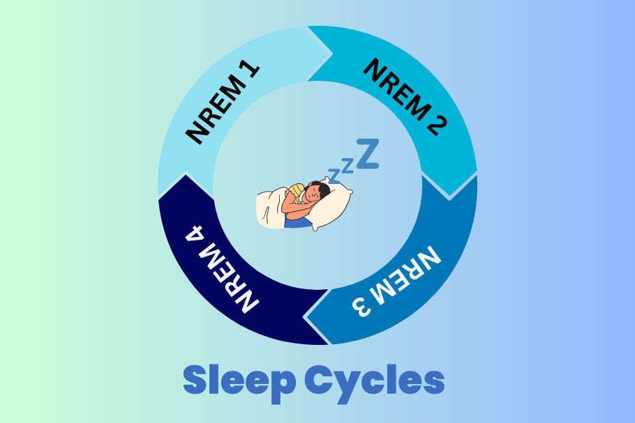 The Importance of Understanding Sleep Cycles And It's Powerful Impact on our Mental Health
